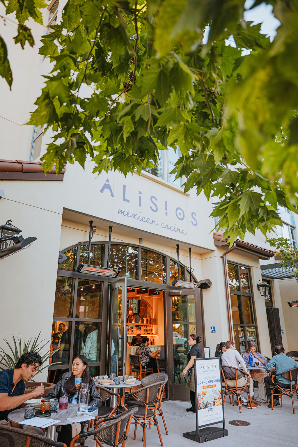 Alisios gallery photo 129